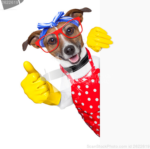 Image of housewife dog 