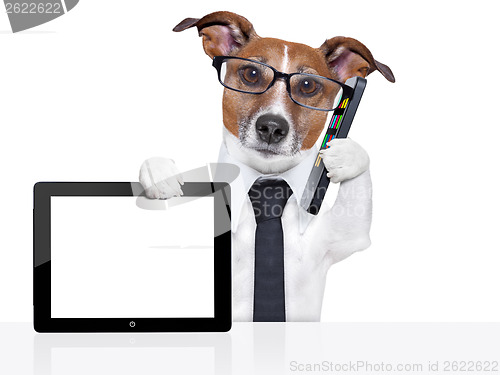 Image of business dog