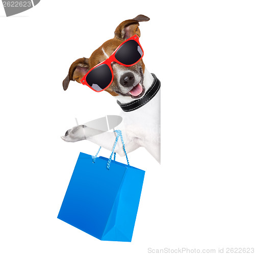 Image of shopaholic shopping dog 