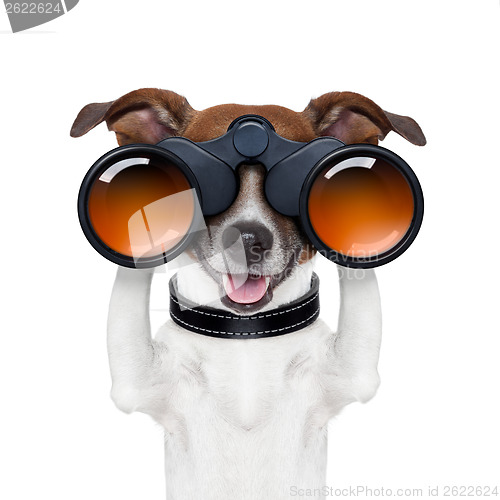 Image of binoculars  searching looking observing  dog