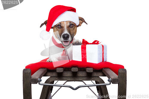 Image of christmas dog on sleigh