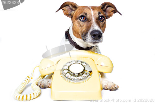 Image of dog phone call