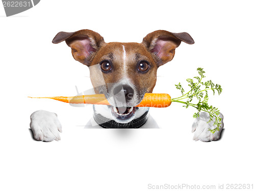 Image of healthy dog with a carrot