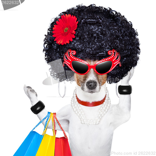 Image of shopaholic diva dog