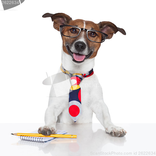 Image of business dog typewriter