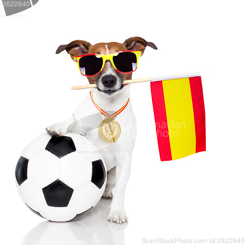 Image of dog as soccer with spanish flag
