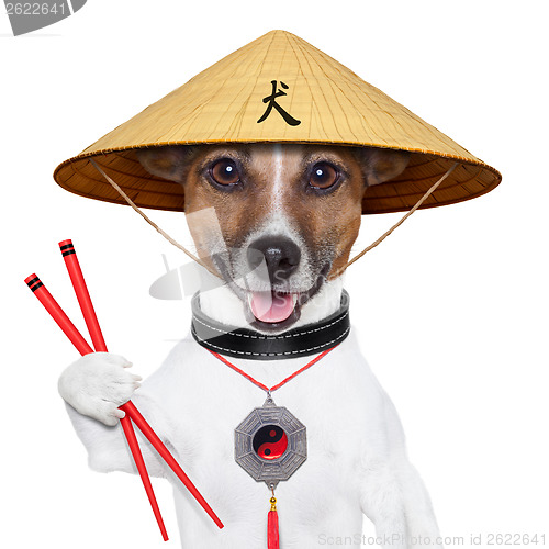 Image of asian dog 