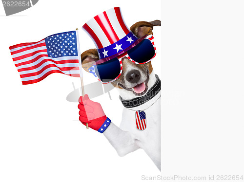 Image of usa american dog 