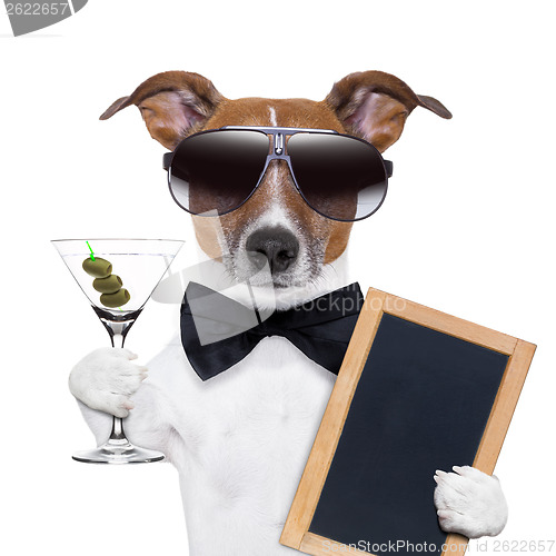 Image of martini dog