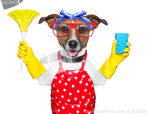 Image of housewife dog 