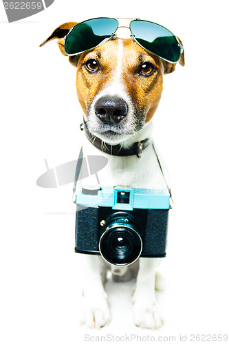 Image of dog photo camera