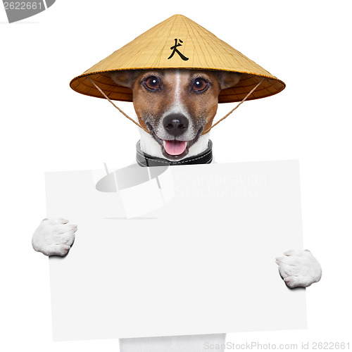 Image of asian dog 