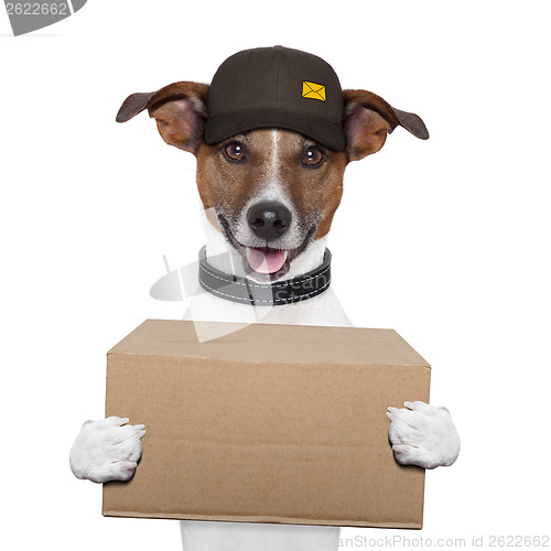 Image of dog delivery post
