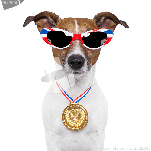 Image of olympic dog 