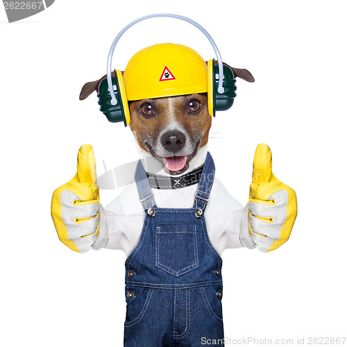 Image of under construction dog