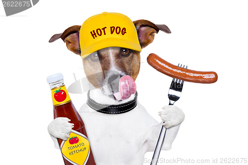 Image of fast food hungry dog