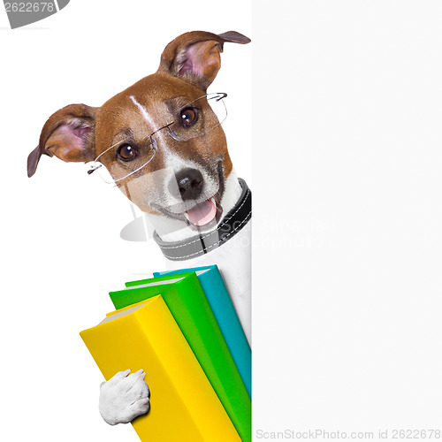 Image of school dog banner