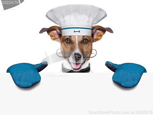 Image of dog cook chef banner