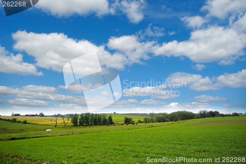 Image of Farmland with blue and cloudy sky