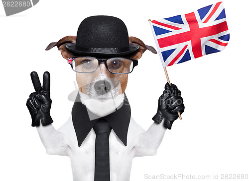 Image of british dog  banner