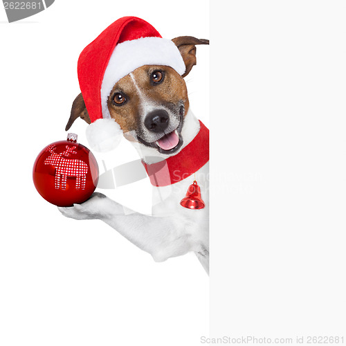 Image of hello goodbye christmas  dog 