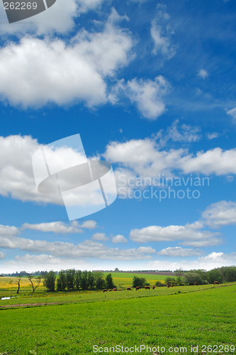 Image of Idylic farmlandscape