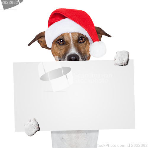 Image of christmas banner placeholder dog