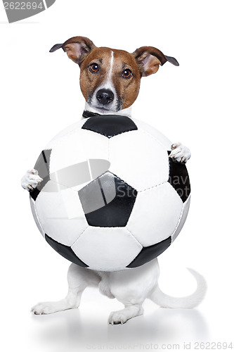 Image of dog with a white soccer ball