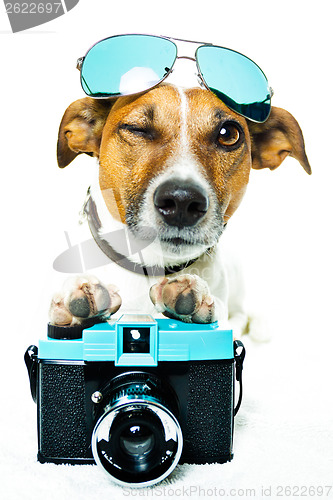 Image of dog photo camera