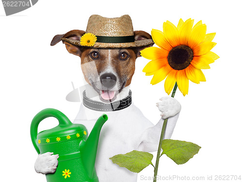 Image of dog gardener