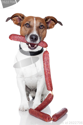 Image of dog with sausages