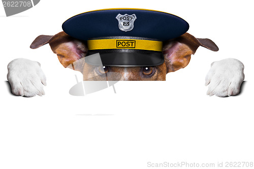 Image of mail dog