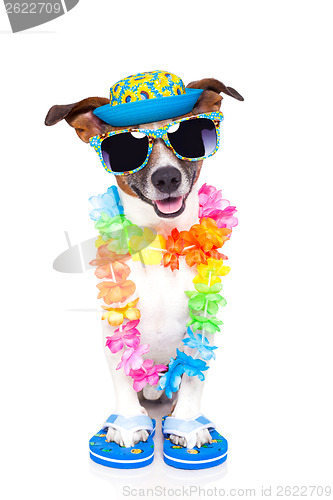 Image of dog on vacation