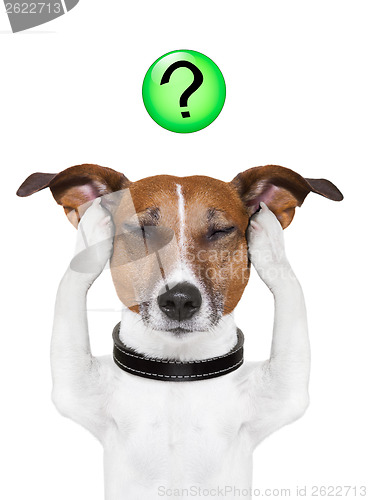 Image of dog question mark