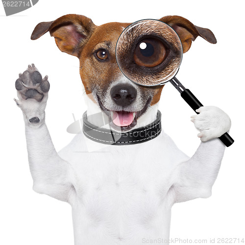 Image of dog with magnifying glass 