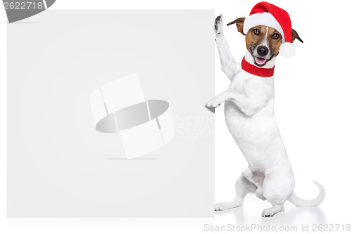 Image of christmas dog placeholder