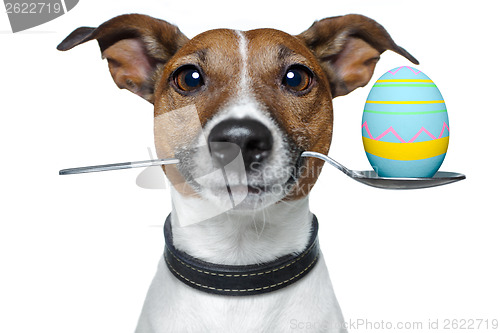Image of dog with spoon and easter egg