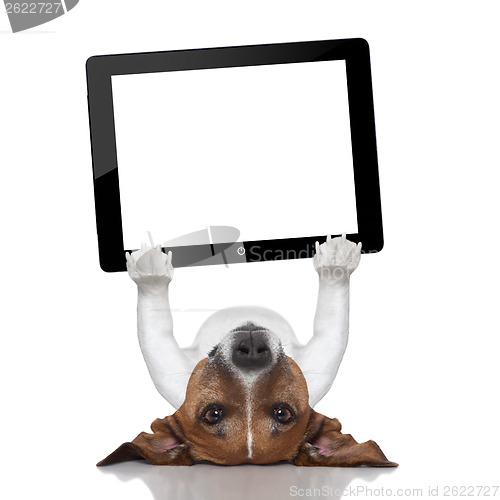 Image of dog computer