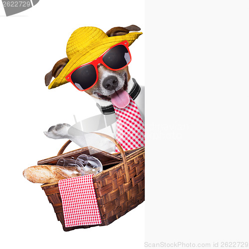 Image of picnic dog 