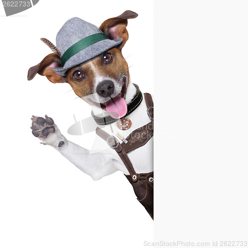 Image of oktoberfest dog