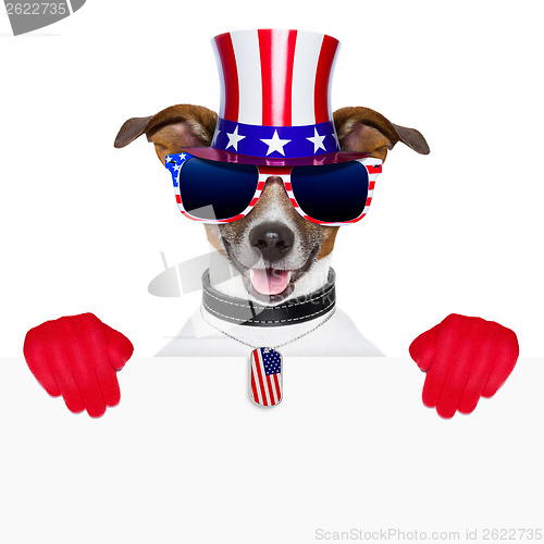 Image of usa american dog 
