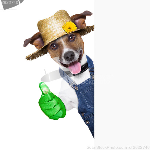 Image of gardener dog