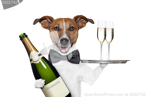 Image of dog toasting 