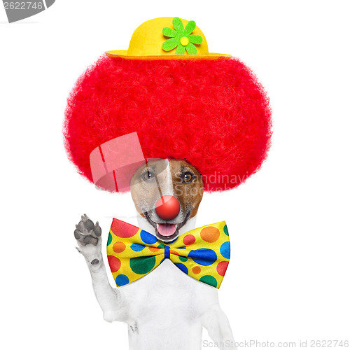 Image of clown dog with red wig and hat