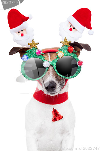 Image of xmas dog 