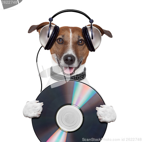 Image of music headphone cd dog