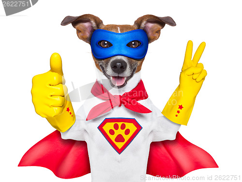 Image of super hero dog