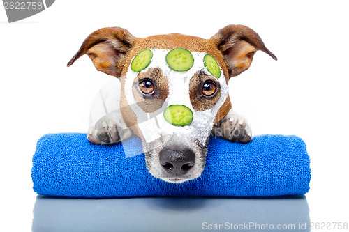 Image of dog with a beauty mask