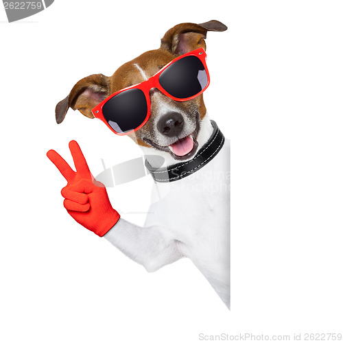 Image of peace fingers dog