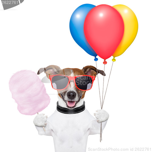 Image of dog balloons and cotton candy